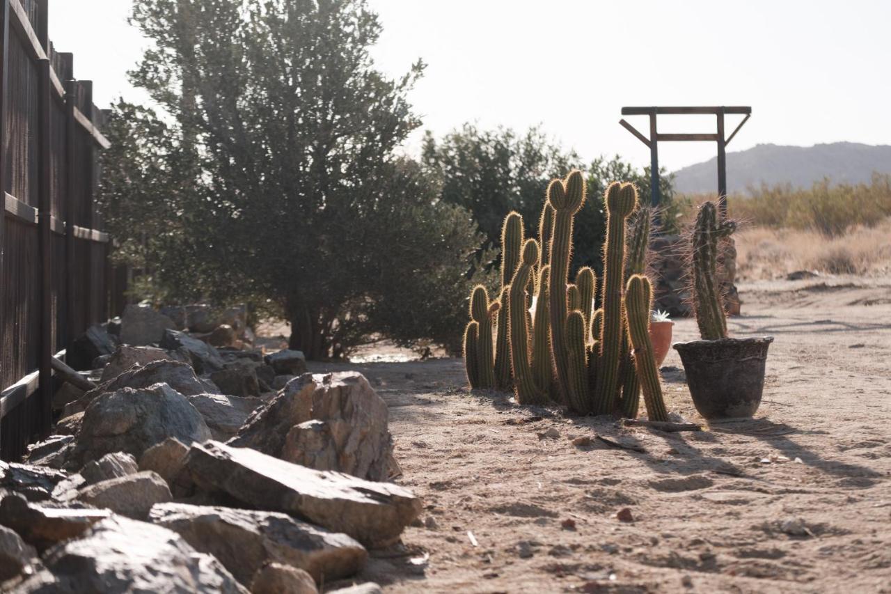 @ Marbella Lane - The Moon Designer Home Right Behind The Jtnp Joshua Tree Exterior photo