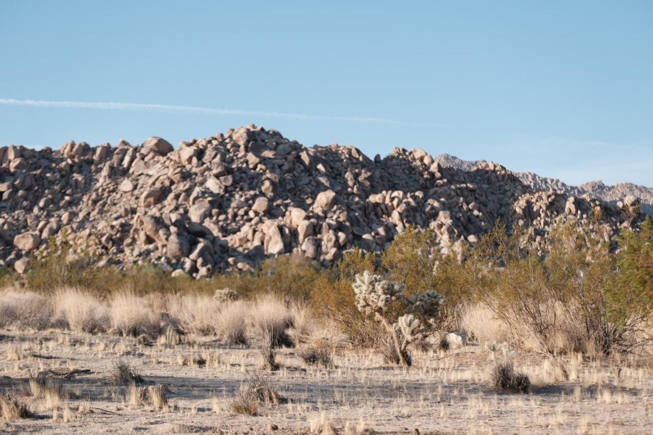 @ Marbella Lane - The Moon Designer Home Right Behind The Jtnp Joshua Tree Exterior photo